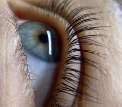 lashmaker.l.n — zdjęcie z portfolio 2