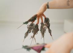P•M Nails Brașov — fotografie din portofoliu 5