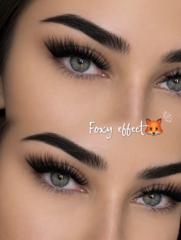 Eln Lash & Brow — fotografie din portofoliu 17