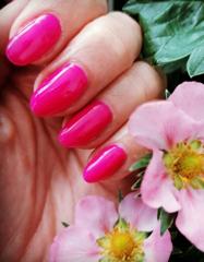 Niko Nails Műkörmös — munkafotó 15
