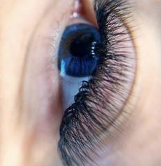 lashmaker.l.n — zdjęcie z portfolio 4