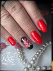 CSGT Nail Academy — munkafotó 3