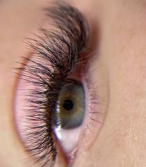 lashmaker.l.n — zdjęcie z portfolio 15