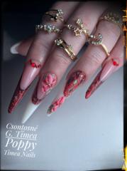 CSGT Nail Academy — munkafotó 2