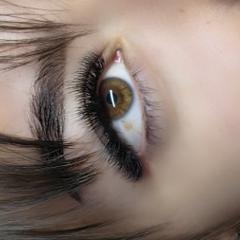 Kitty Lash&Brow — munkafotó 5