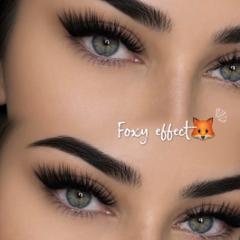 Eln Lash & Brow — fotografie din portofoliu 17