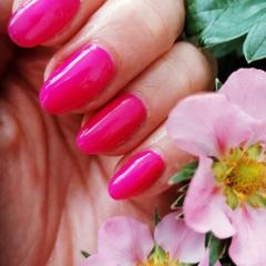 Niko Nails Műkörmös — munkafotó 15