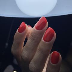 CDN nail’s — fotografie din portofoliu 7
