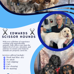 Edwards Scissor Hounds — portfolio photo 5
