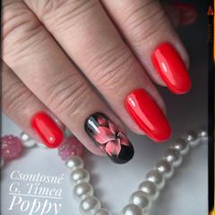 CSGT Nail Academy — munkafotó 3